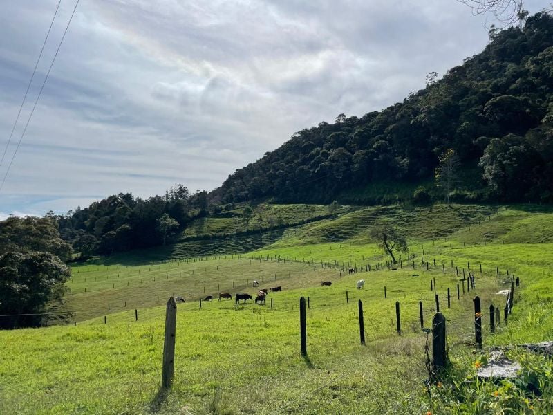 Terreno de gran extensión en el Capiro