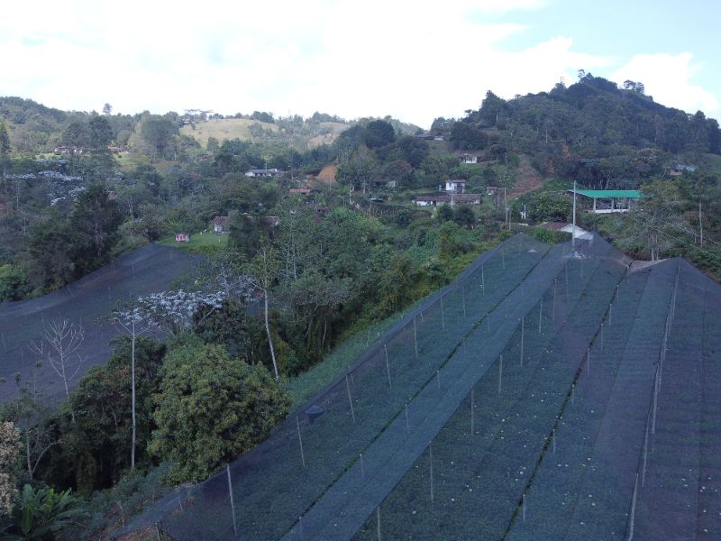 Lote independiente en Cabeceras cerca de Jardines de LLanograde