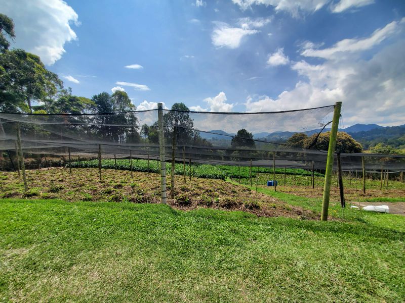 Lote independiente en Cabeceras cerca de Jardines de LLanograde