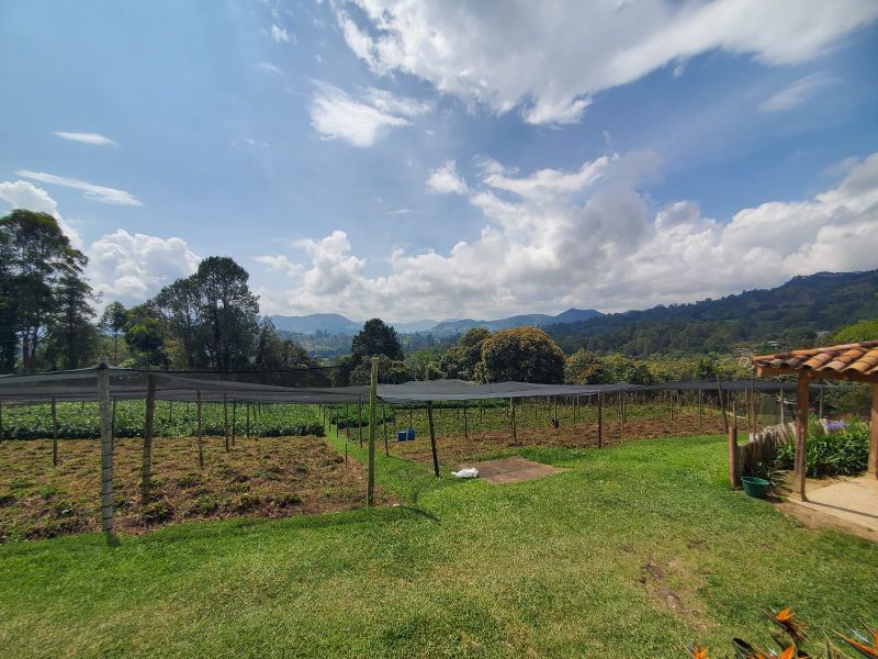 Lote independiente en Cabeceras cerca de Jardines de LLanograde