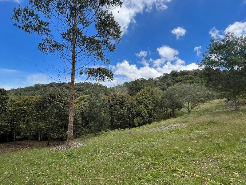 Lote en Pontezuela con vista y gran extensión