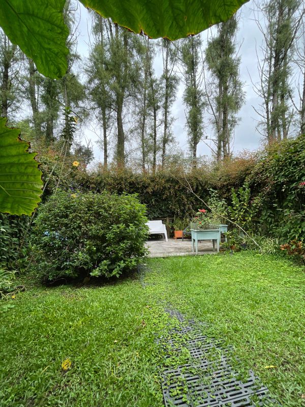 Casa muy cerca a Viva La Ceja parcialmente remodelada en venta