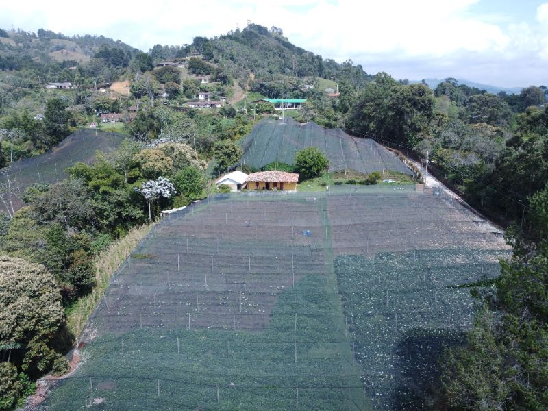 Lote independiente en Cabeceras cerca de Jardines de LLanograde