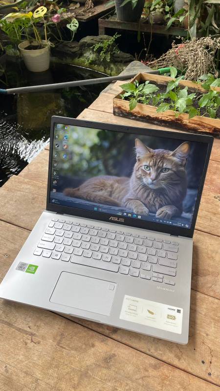 Laptop Asus A409JP(SOLD)