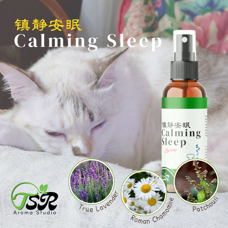 Calming Sleep