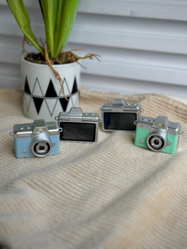 Digital Flip Camera