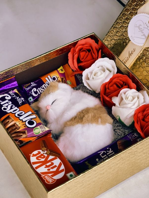 Best Budget Hamper for gifting your beloved ones