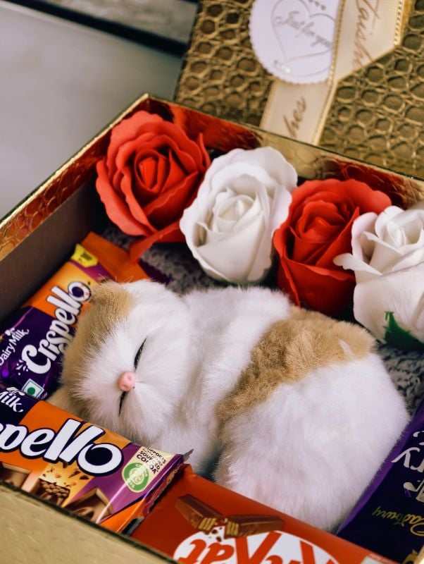 Best Budget Hamper for gifting your beloved ones