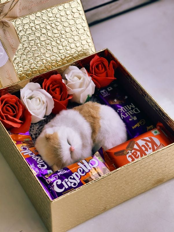 Best Budget Hamper for gifting your beloved ones