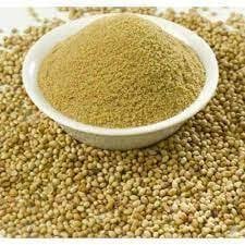 coriander powder Best