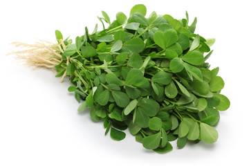 Lili Methi - લીલી મેથી