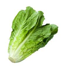 lettuce - લેટીસ