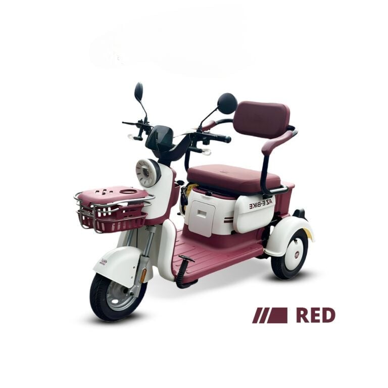LTD04 E-Tricycle
