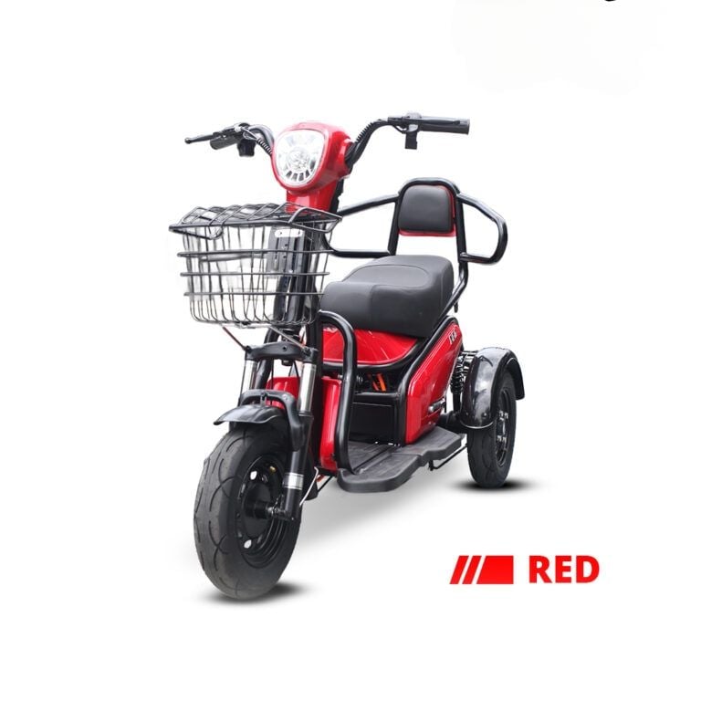 L04 E-Tricycle