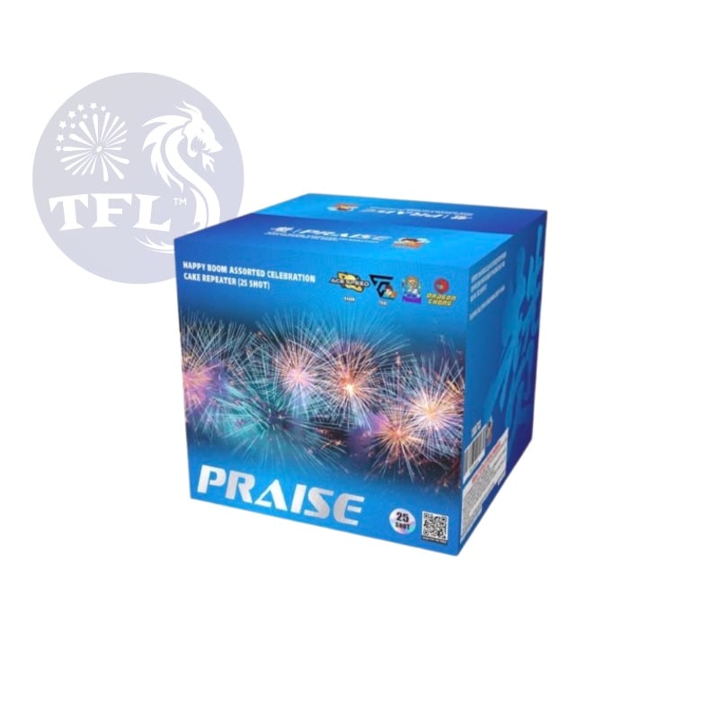 AK12 | 2寸洞25发 | 2''25 SHOT