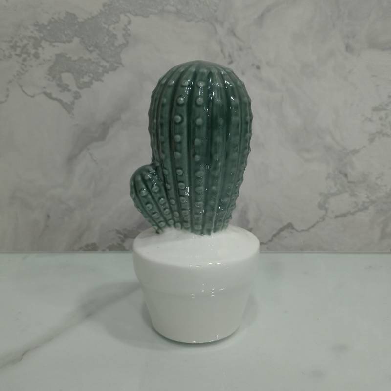 (TPM-016) Cactus Vase