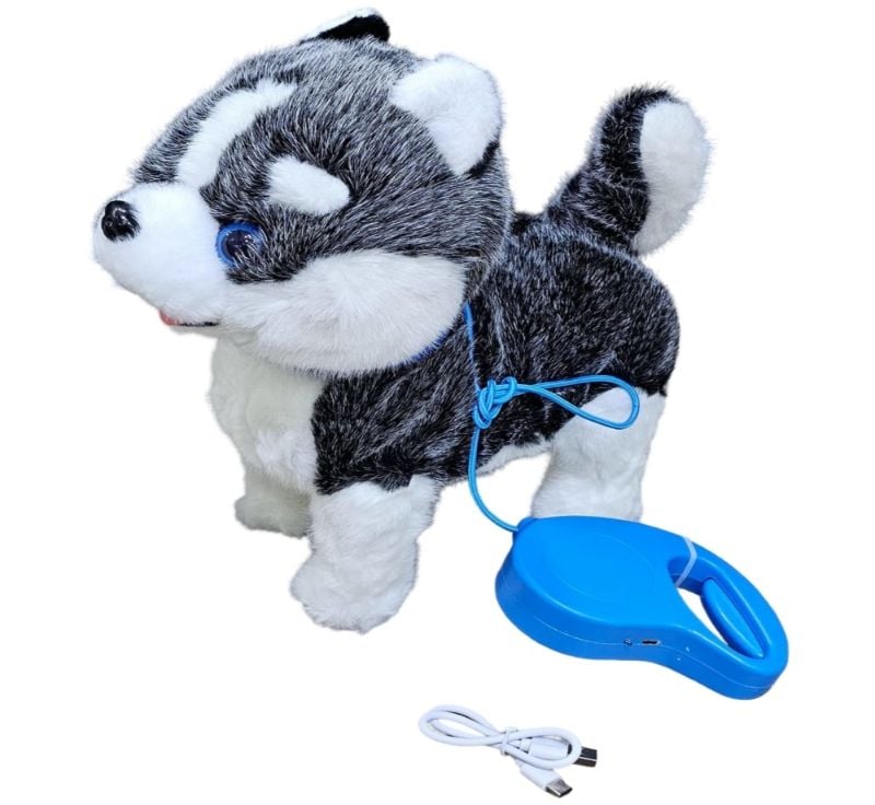 (St-10-01) B/O Dog,Mix Clr