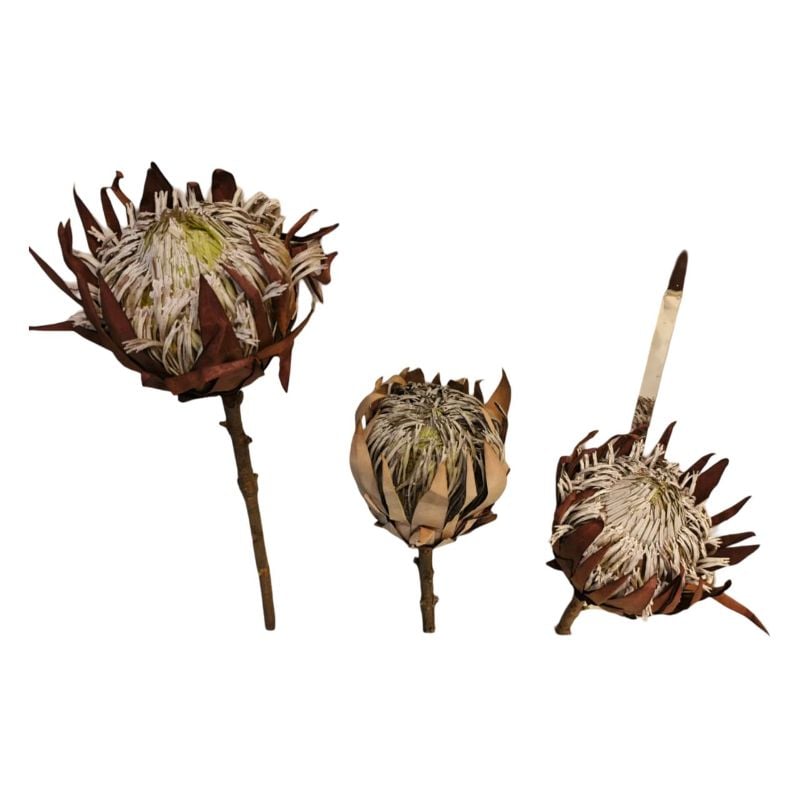 (TPM-1378) TPM-Artificial Plant Dry Flower Stick