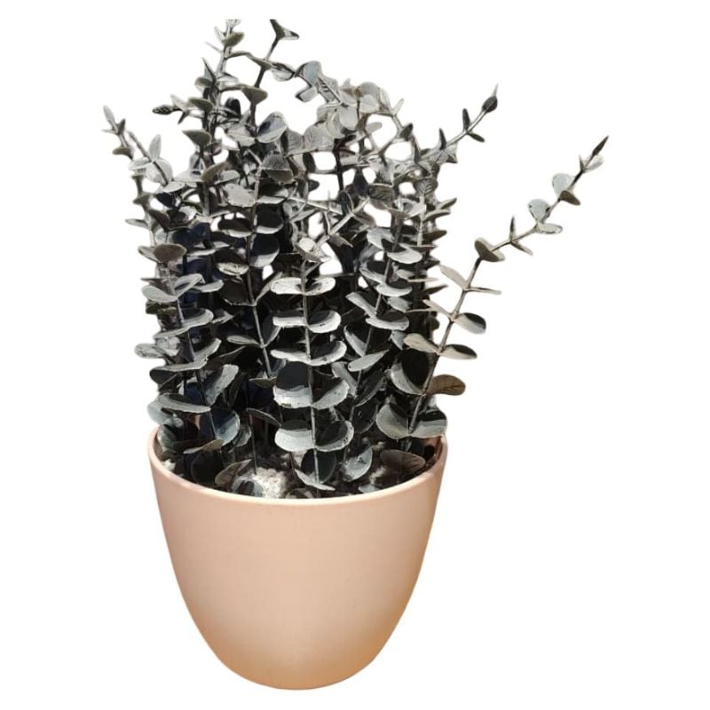 (TPM-426) Plastic Pot large