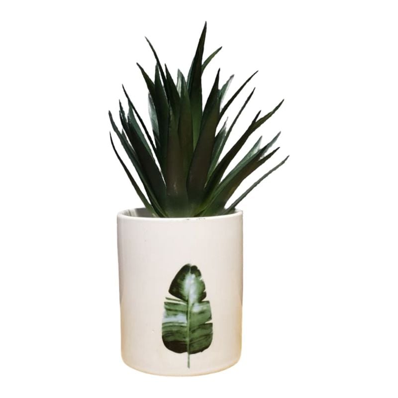 (TPM-1871) New Ceramic Pot With Bunch