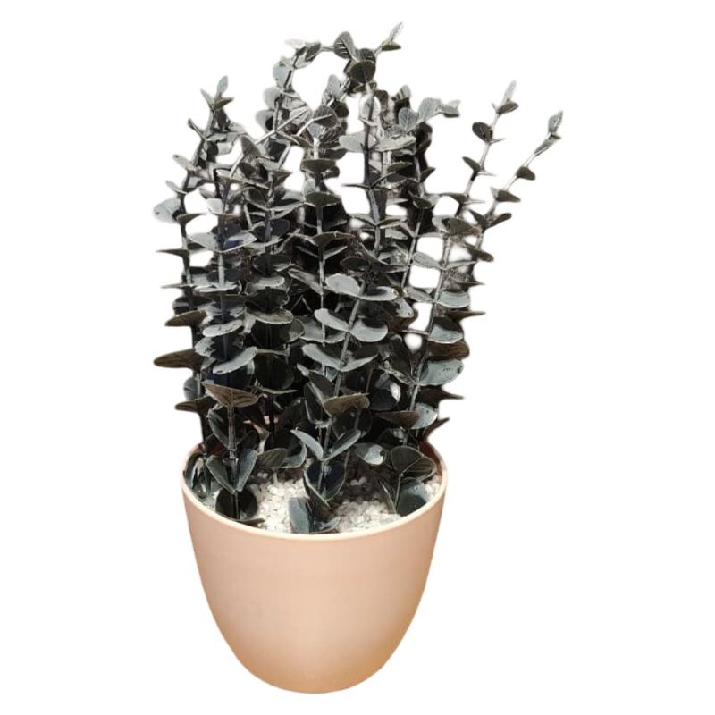 (TPM-424) Plastic Pot Small
