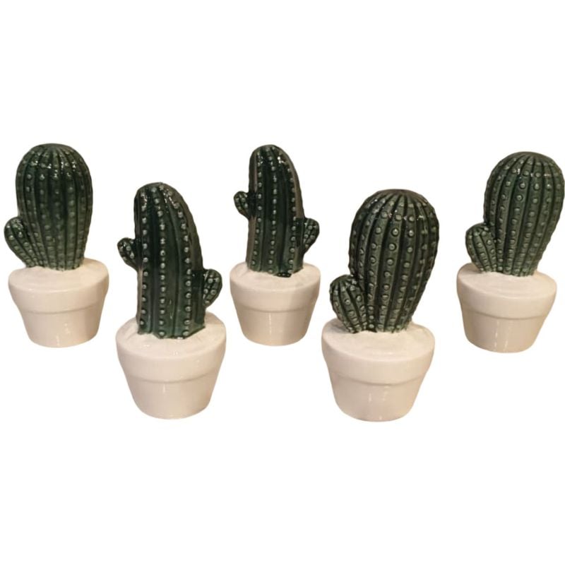 (TPM-016) Cactus Pot