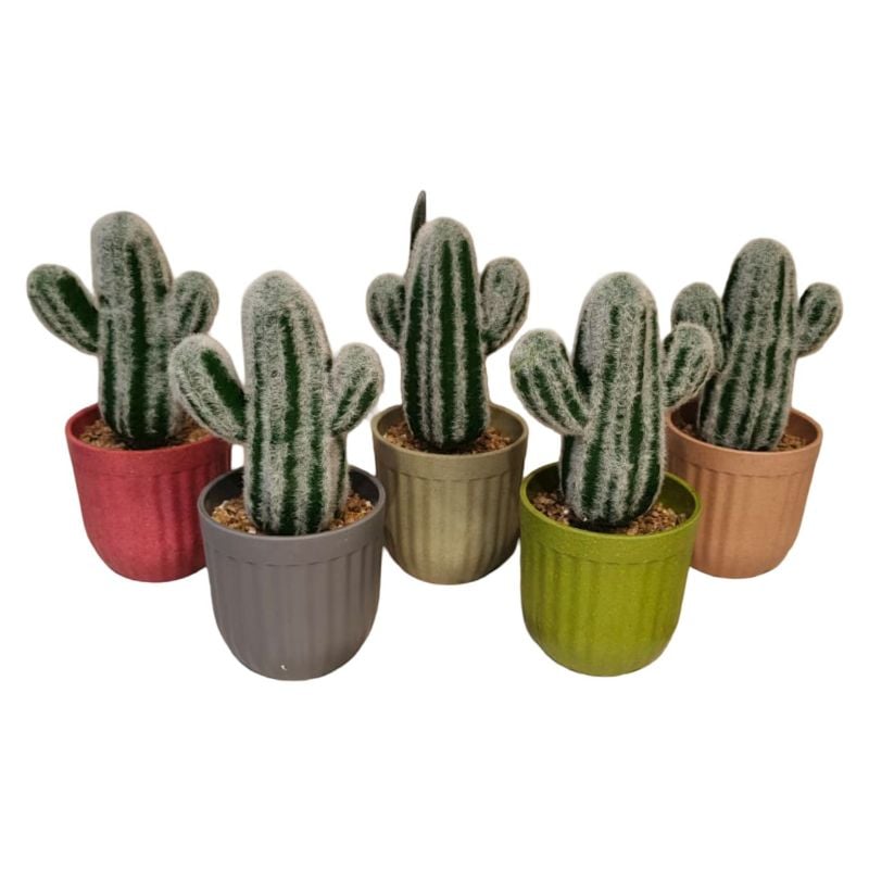 (TPM-1277) Snow Cactus Pot Large