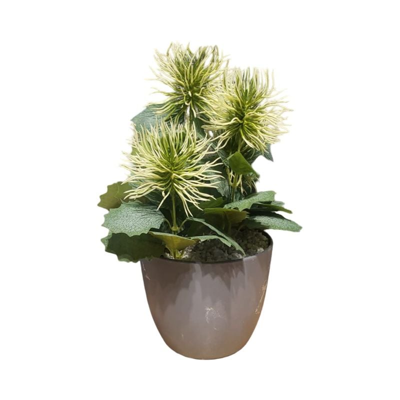 (TPM-2508) Each Piece Medium PVC Pot New Bunch