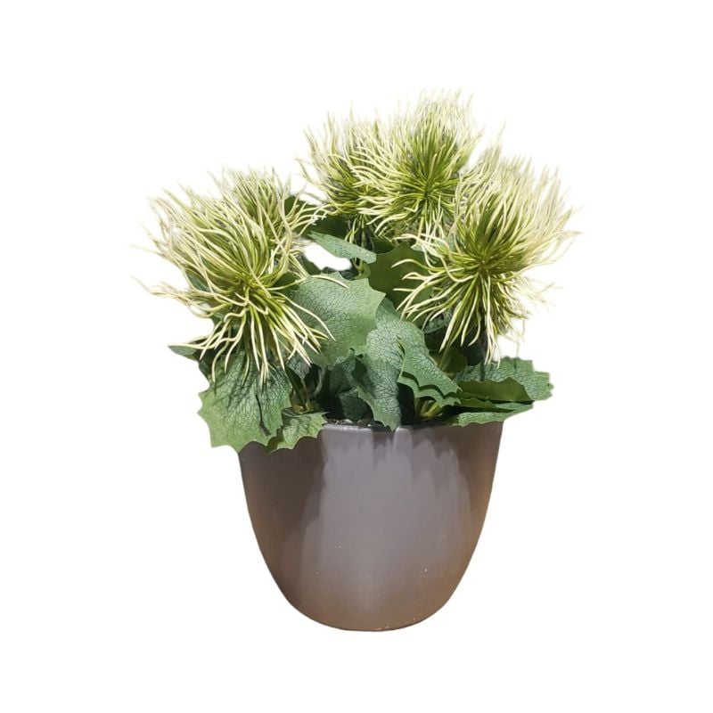 (TPM-2507) Each Piece XL PVC Pot New Bunch