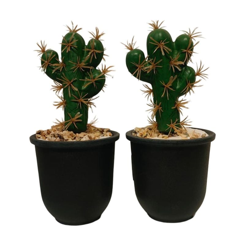 (TPM-1116) Cactus Small Pot New