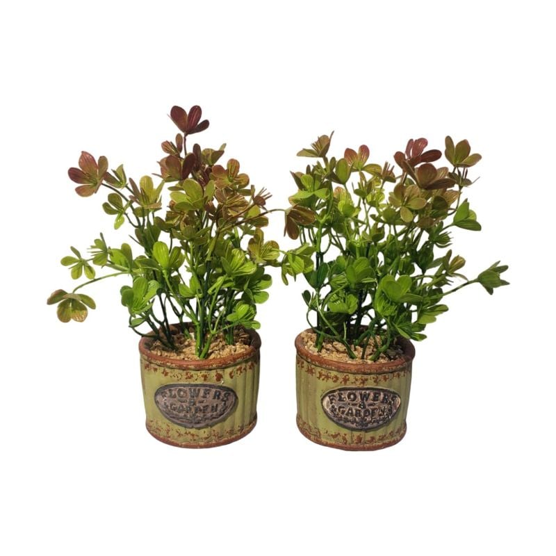 (TPM-852) Pot New NC