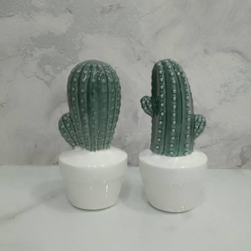 (TPM-016) Cactus Vase