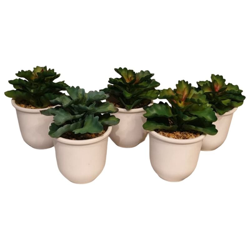 (TPM-1300) Small Plant Pot NC