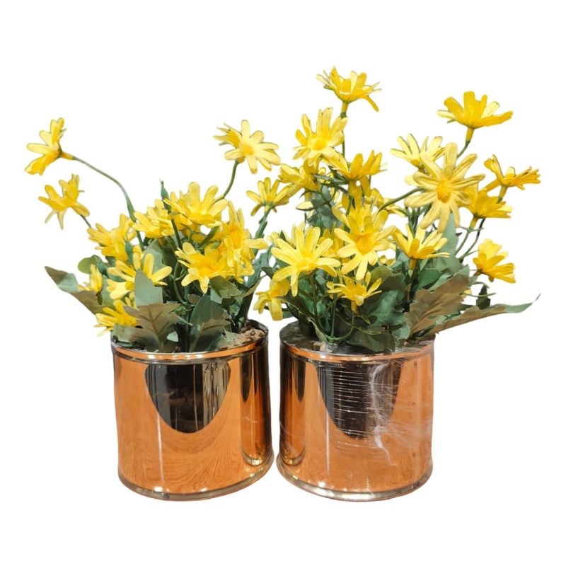 (TPM-1155) Circular Golden Pot Medium