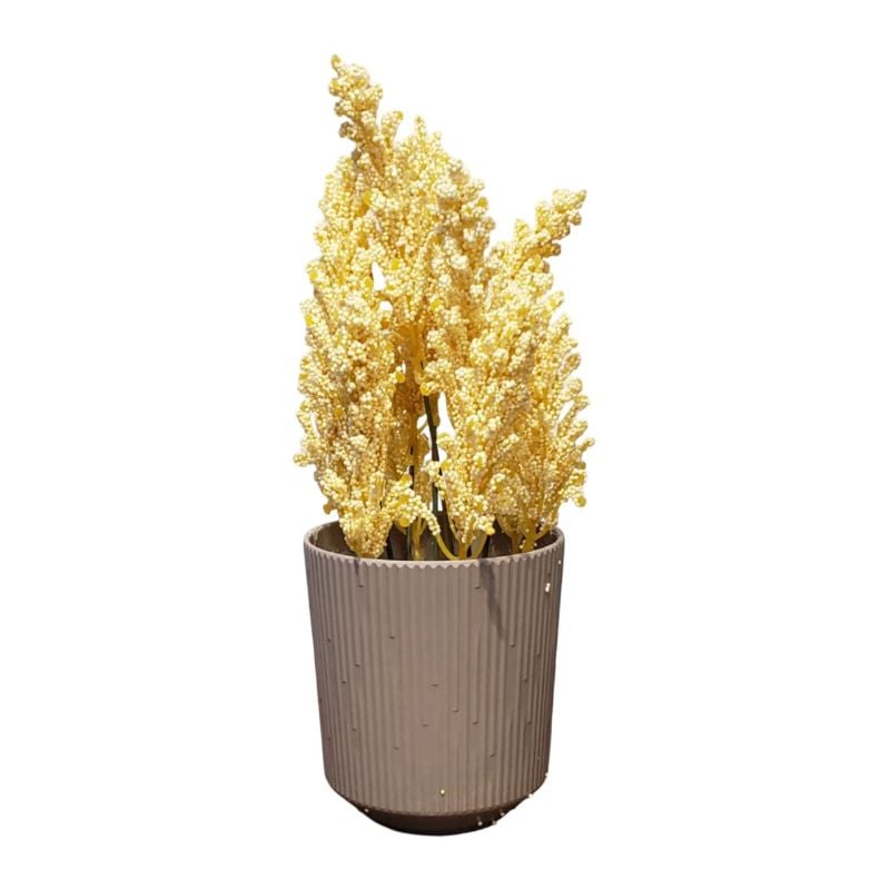 (TPM-1703) Dry Bunch Pot