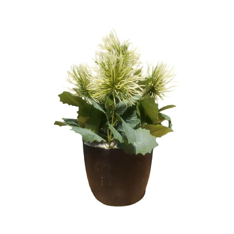 (TPM-2517) Each Piece Small PVC Pot New Bunch