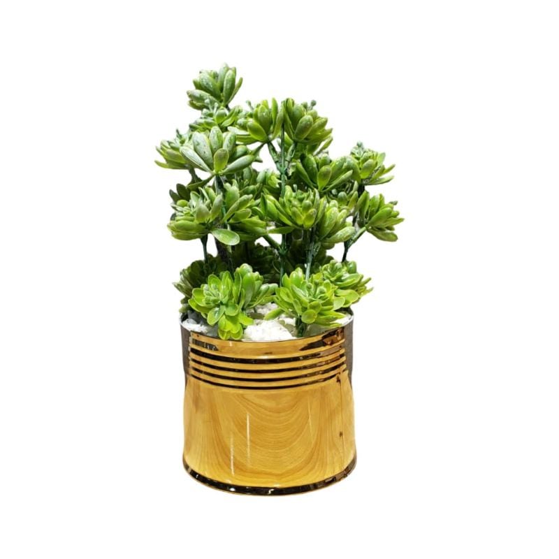 (TPM-2510) Each Piece Golden Pot With Bunch