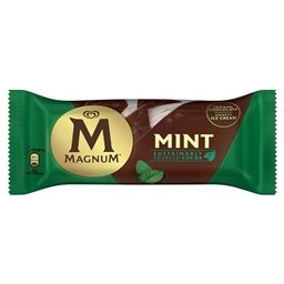 4013-Magnum Mint 100ml (20 Pack)