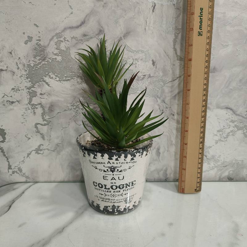 (TPM-641) Cacutus Pot Medium