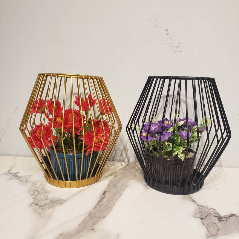 (TPM-784) Cage Bronsi Bowl