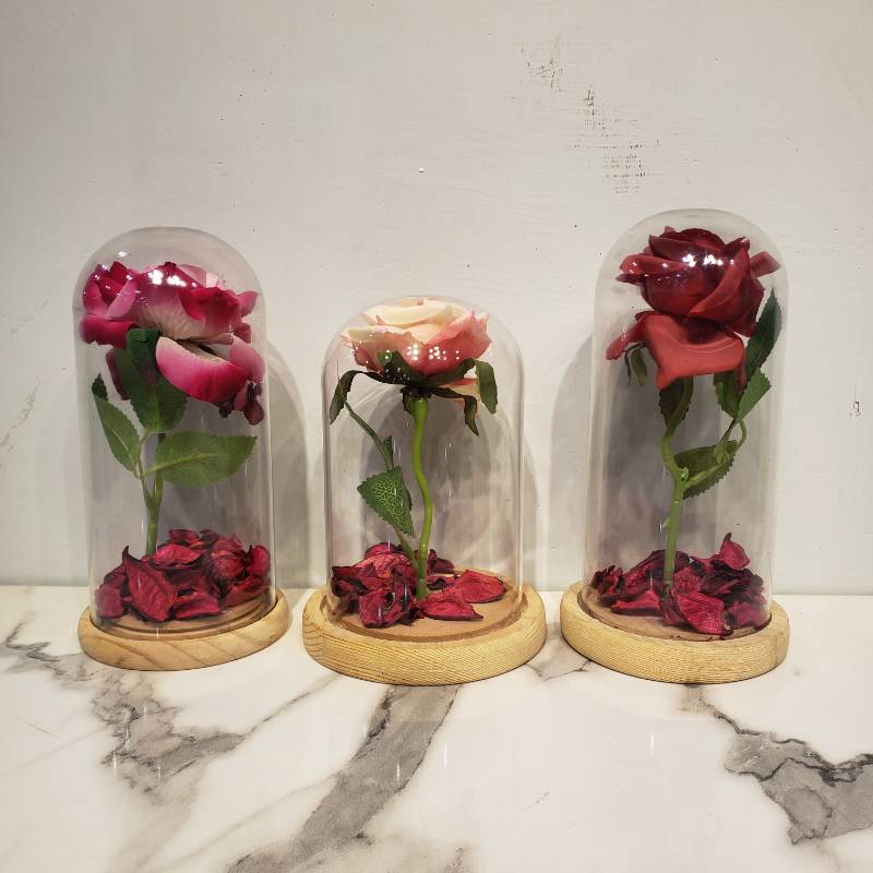 (TPM-785) Bell Jar