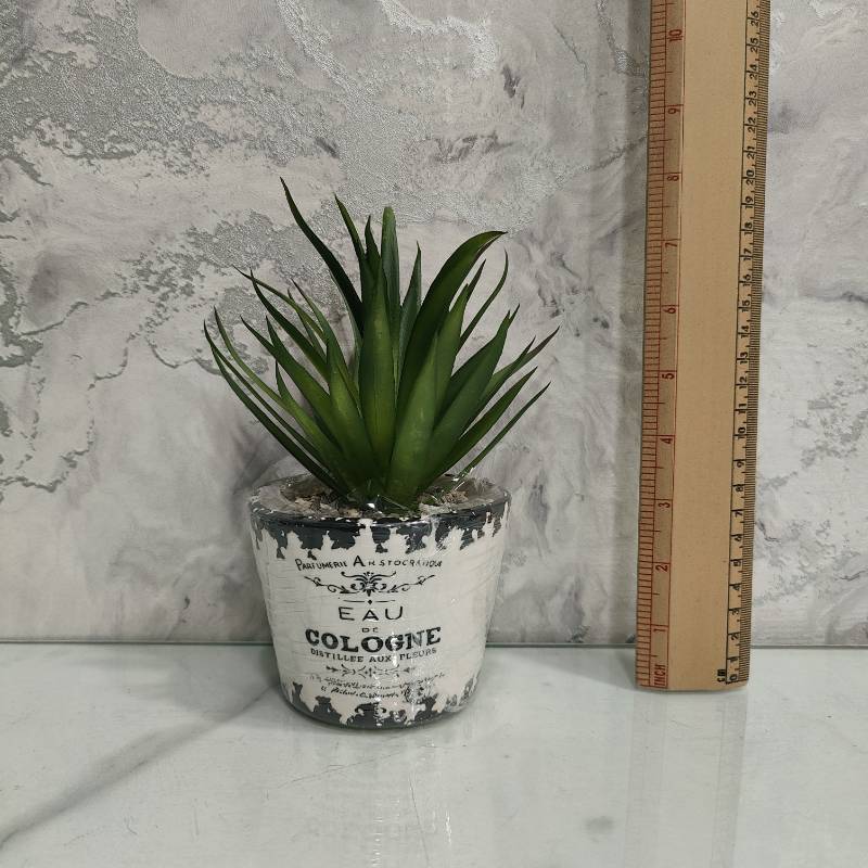(TPM-640) Cacutus Pot Small