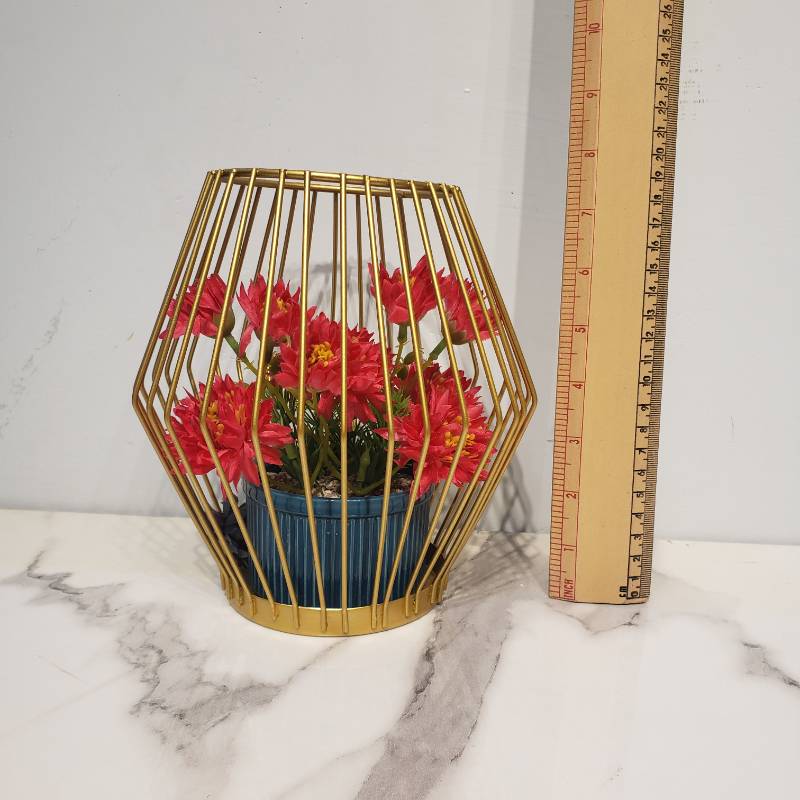 (TPM-784) Cage Bronsi Bowl