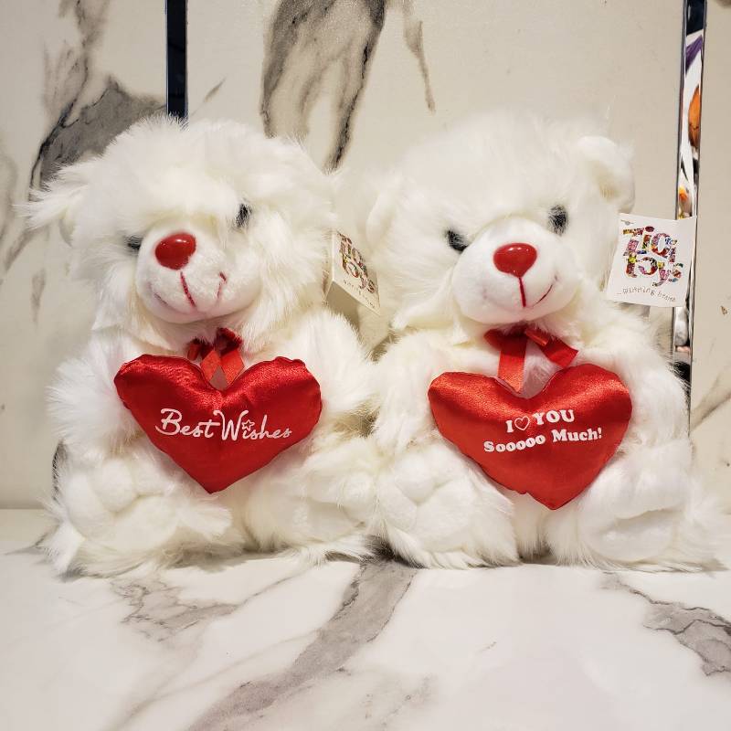 (ZN BEAR MIX 1454) 10 inch Bear Ziqi
