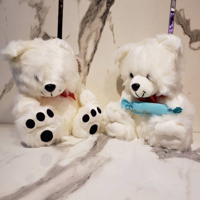 (ZN BEAR MIX 122) 12 inch Bear Ziqi