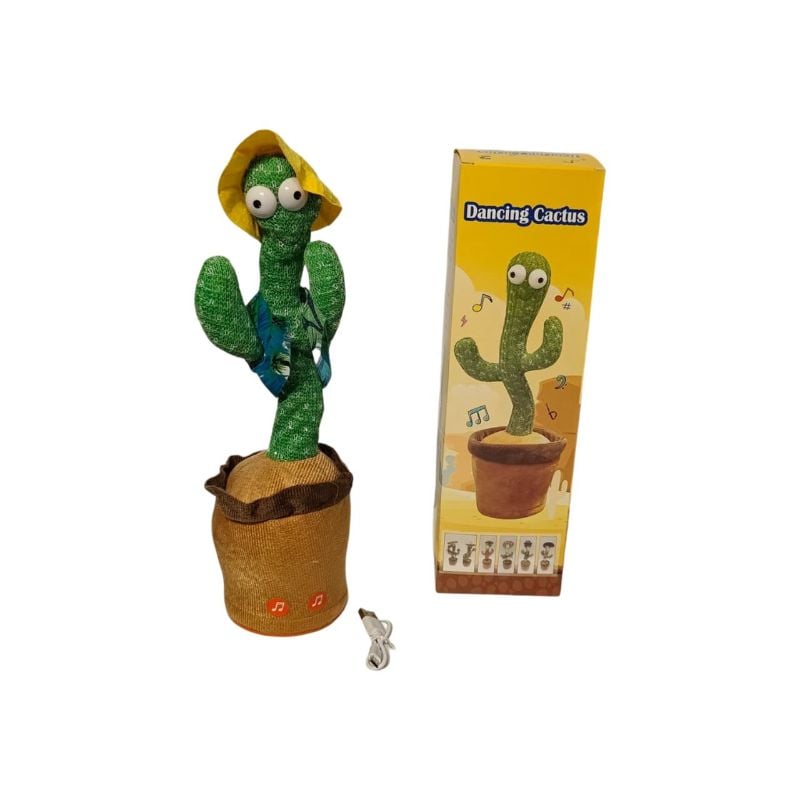 (HS-B) Catcus,With Cloth And Cap,Usb And Clr Bo
