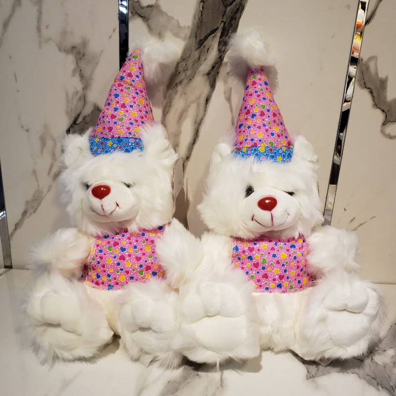 (ZN CAP & JACKET 122) 12 inch Birthday Bear Ziqi