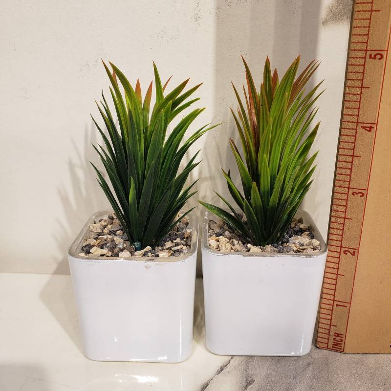 (TPM-875) Each Glass Pot NC