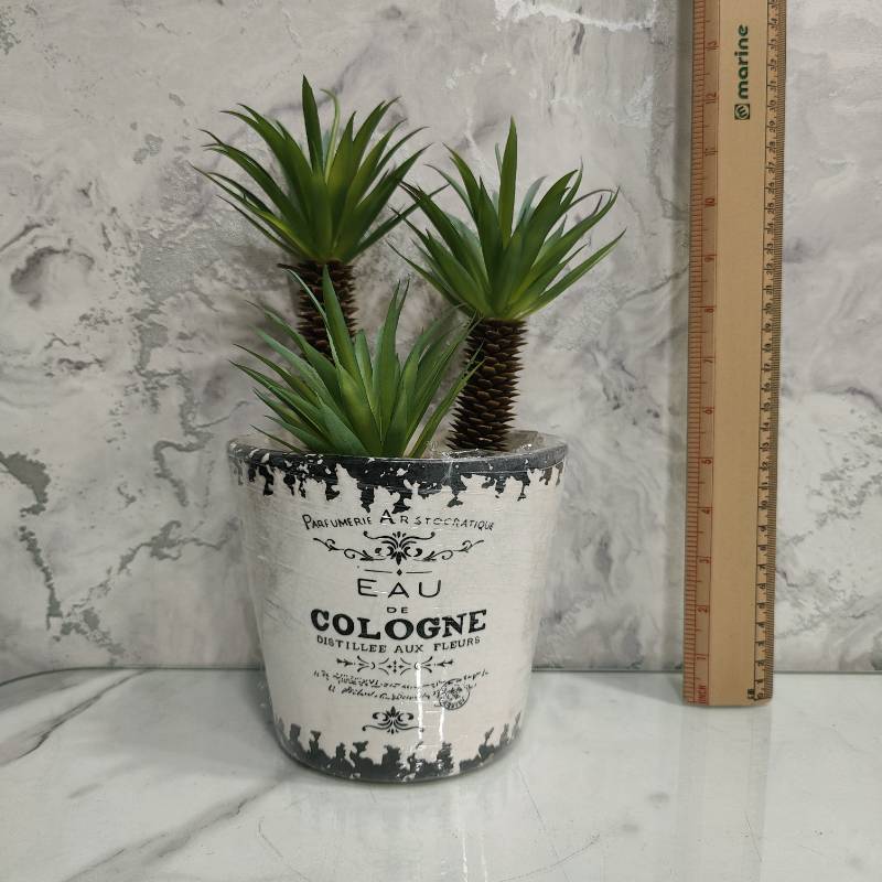(TPM-642) Cacutus Pot Large