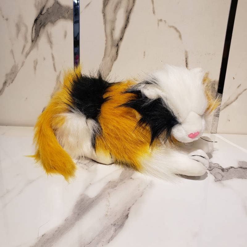 (ZN CAT 408) Ziqi Cat 2 Color